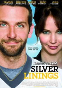 Silver Linings Playbook 2012