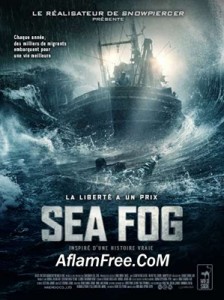 Sea Fog 2014 – Haemoo