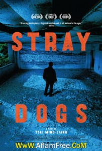 Stray Dogs 2013