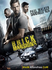 Brick Mansions 2014