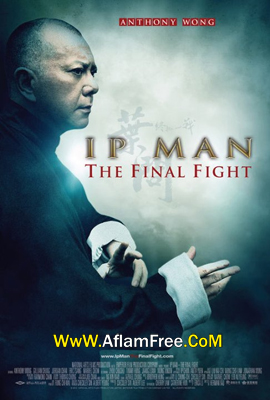 Ip Man The Final Fight 2013