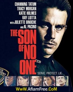 The Son of No One 2011