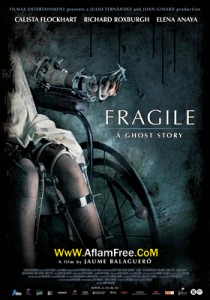 Fragile 2005