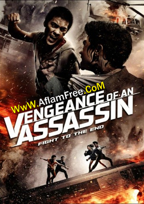 Vengeance of an Assassin 2014
