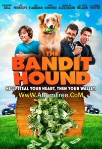 The Bandit Hound 2016