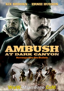 Ambush at Dark Canyon 2012