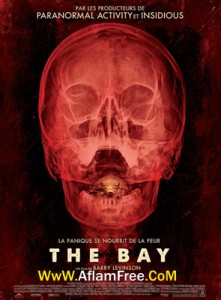 The Bay 2012