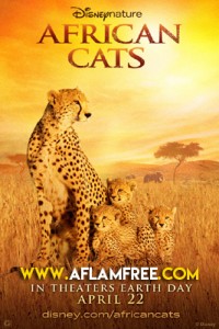 African Cats 2011