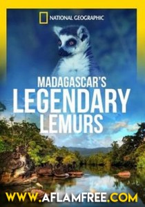 Madagascars Legendary Lemurs 2016 Arabic