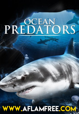 Ocean Predators 2013
