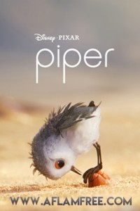 Piper 2016