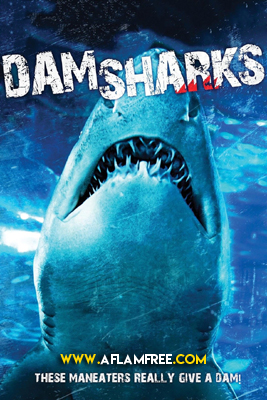 Dam Sharks 2016