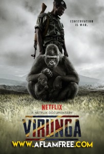Virunga 2014