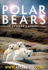 Polar Bears A Summer Odyssey 2012