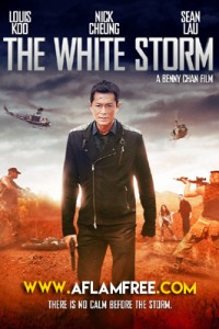 The White Storm 2013