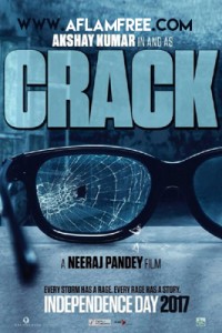 Crack 2017