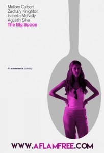 The Big Spoon 2016