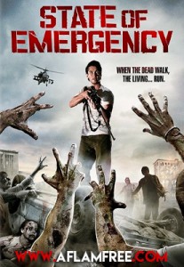 State of Emergency 2010