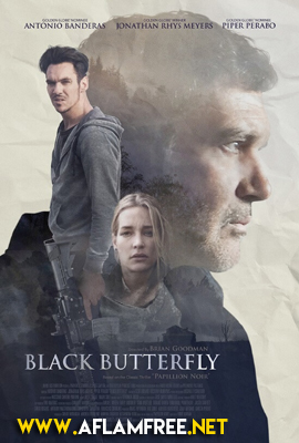 Black Butterfly 2017