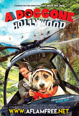 A Doggone Hollywood 2017