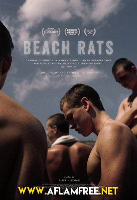 Beach Rats 2017