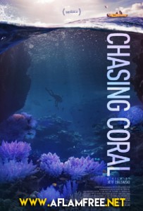 Chasing Coral 2017