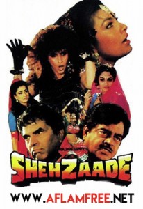 Shehzaade 1989