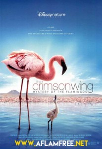 The Crimson Wing Mystery of the Flamingos 2008