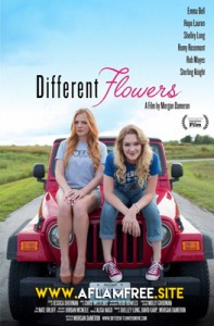 Different Flowers 2017