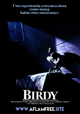 Birdy 1984