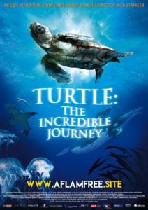 Turtle The Incredible Journey 2009