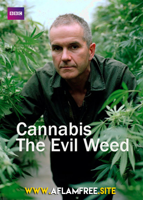 Cannabis The Evil Weed? 2009