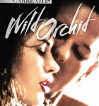 Wild Orchid 1989