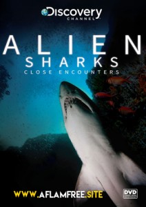 Alien Sharks Close Encounters 2015