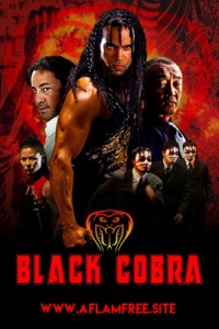 Black Cobra 2012