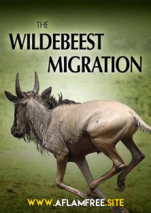 The Wildebeest Migration 2013