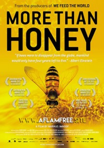 More Than Honey 2012