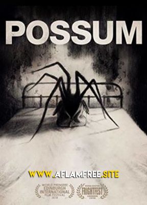Possum 2018