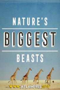 Nature’s Biggest Beasts