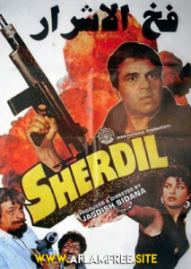 Sher Dil 1990