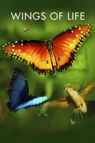 فيلم Disneynature Wings of Life 2011 مترجم اون لاين وتحميل